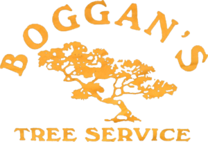 Boggan's Tree Service Logo